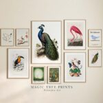 Birds Eclectic Gallery