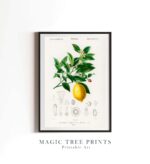 Yellow Floral Gallery - Image 5